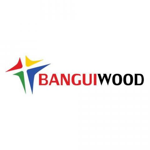 Banguiwood Media